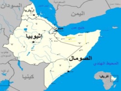 تقارير